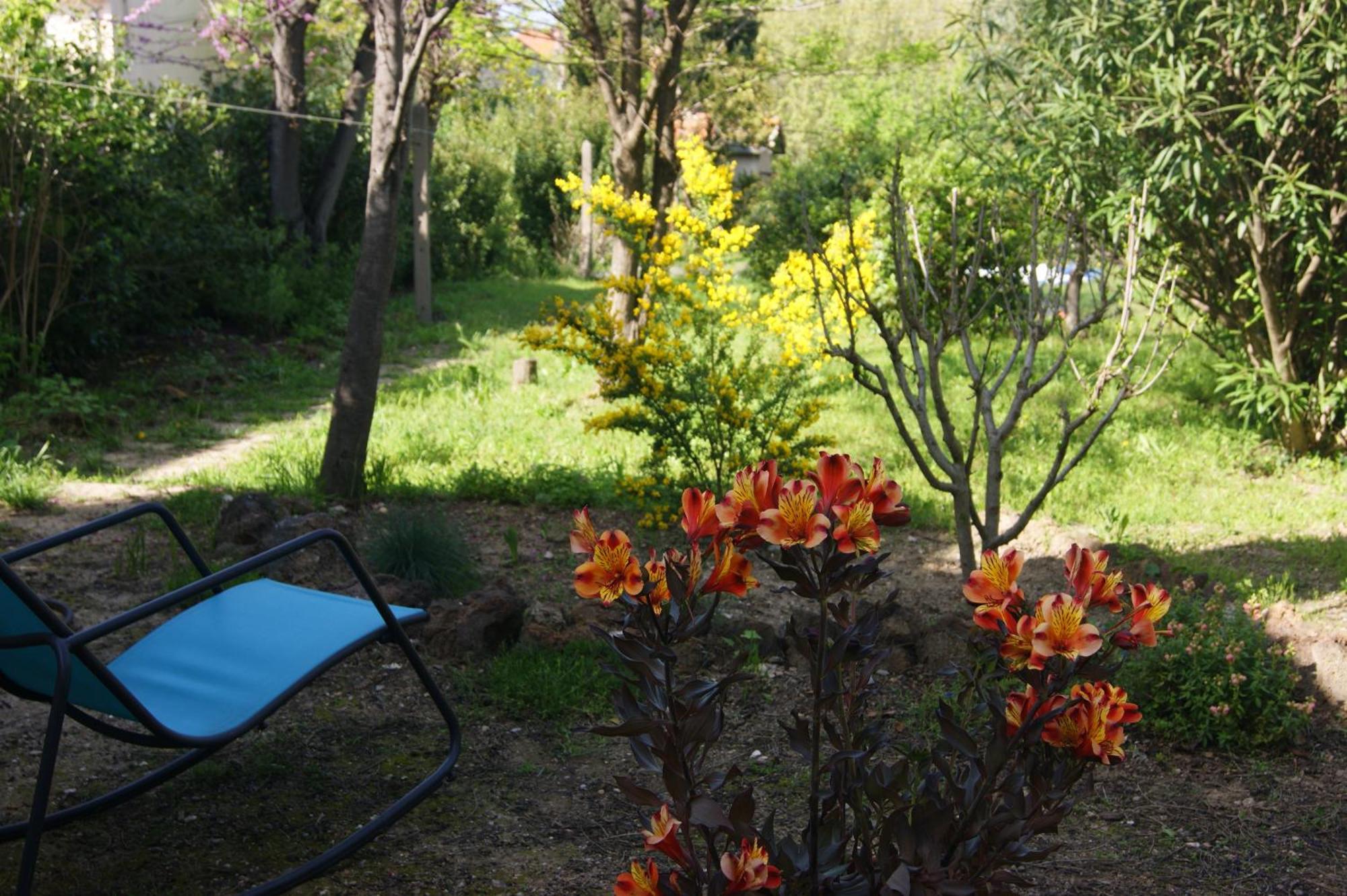 Le Petit Moliere Bed & Breakfast Servian Exterior foto